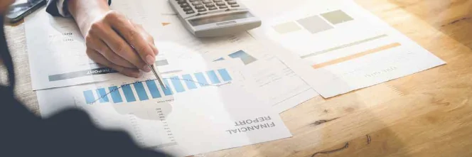 Everything You Need To Know About Tax Consultant Services